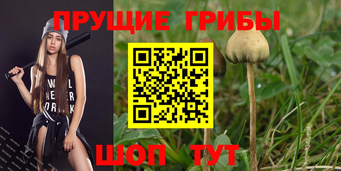 Галлюциногенные грибы прущие грибы Клинцы